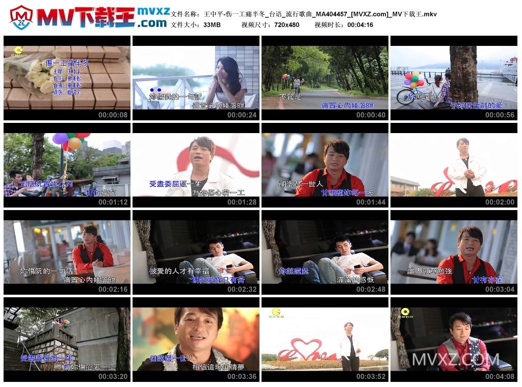 王中平-伤一工痛半冬_台语_流行歌曲_MA404457